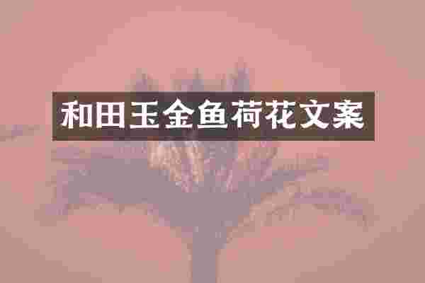 和田玉金鱼荷花文案