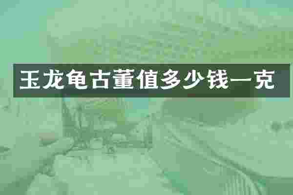 玉龙龟古董值多少钱一克