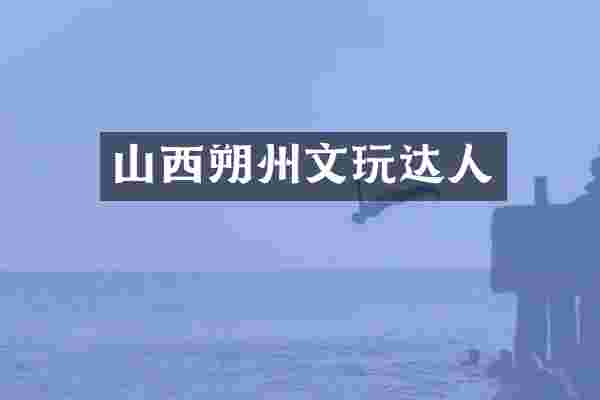 山西朔州文玩达人