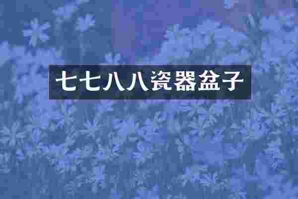 七七八八瓷器盆子