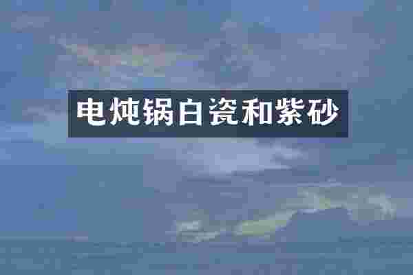 电炖锅白瓷和紫砂