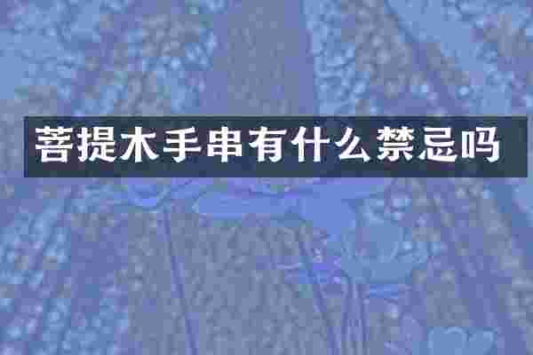 菩提木手串有什么禁忌吗