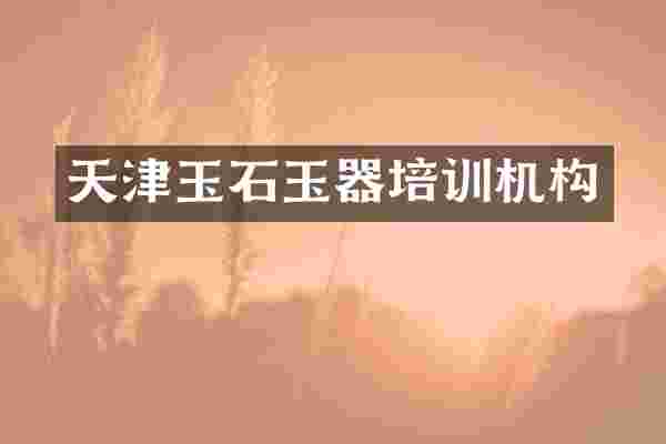 天津玉石玉器培训机构