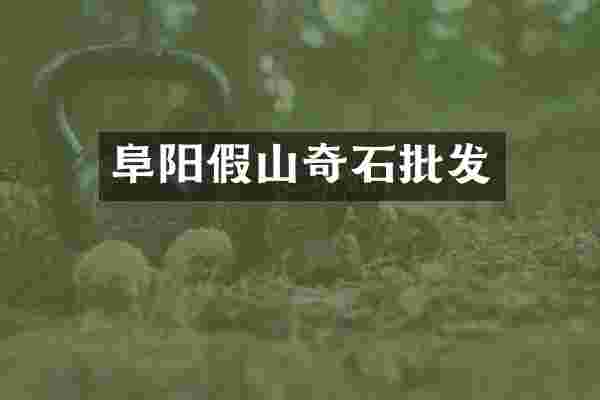 阜阳假山奇石批发