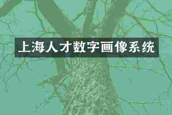 上海人才数字画像系统
