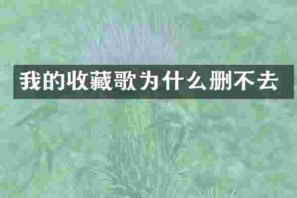 我的收藏歌为什么删不去