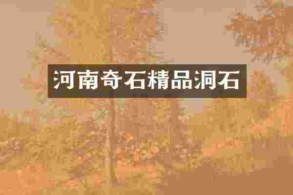 河南奇石精品洞石