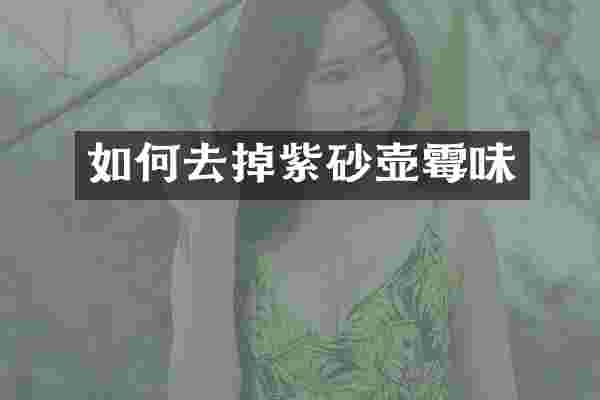 如何去掉紫砂壶霉味