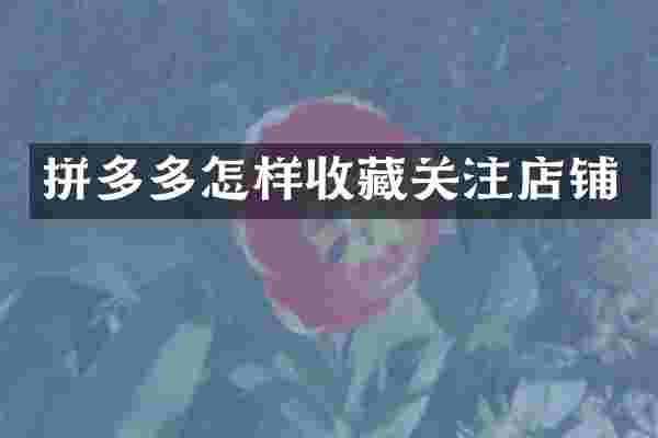 拼多多怎样收藏关注店铺