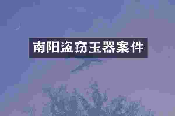 南阳盗窃玉器案件