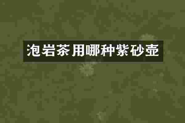 泡岩茶用哪种紫砂壶