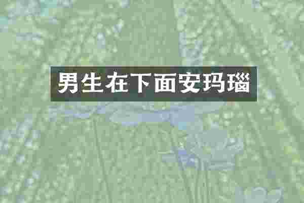 男生在下面安玛瑙