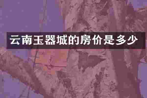 云南玉器城的房价是多少