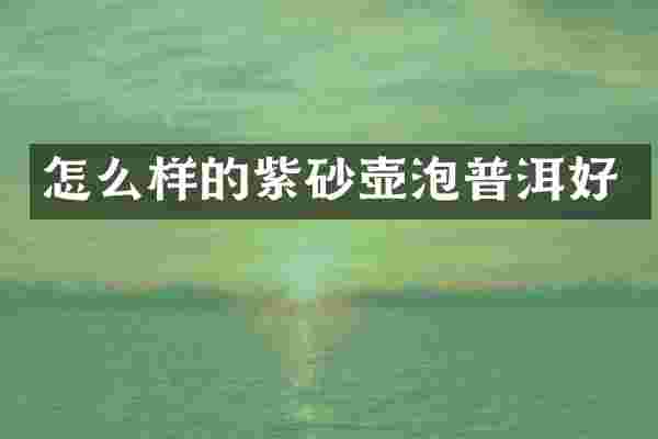 怎么样的紫砂壶泡普洱好