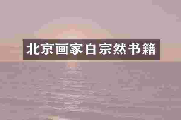北京画家白宗然书籍
