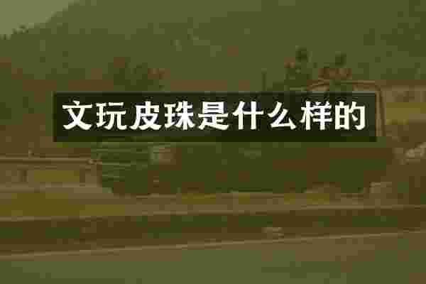 文玩皮珠是什么样的
