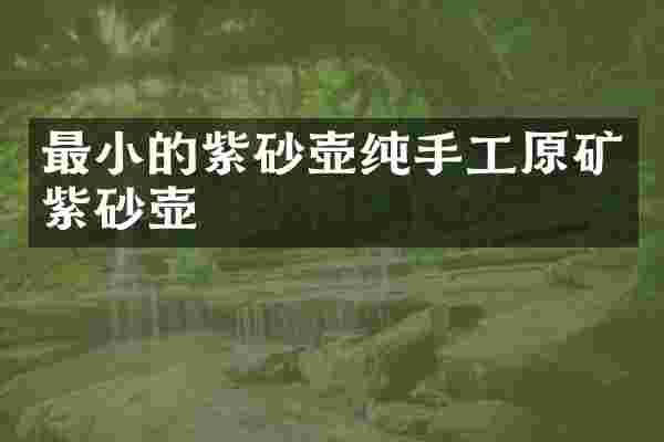 最小的紫砂壶纯手工原矿紫砂壶