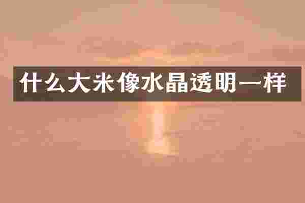 什么大米像水晶透明一样