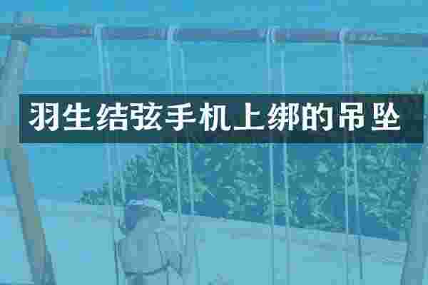 羽生结弦手机上绑的吊坠