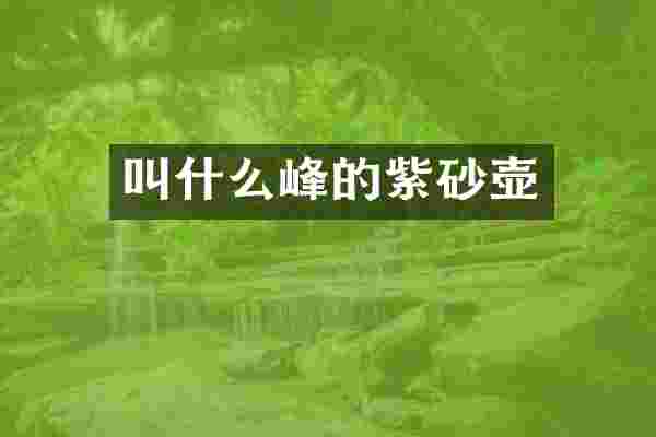 叫什么峰的紫砂壶