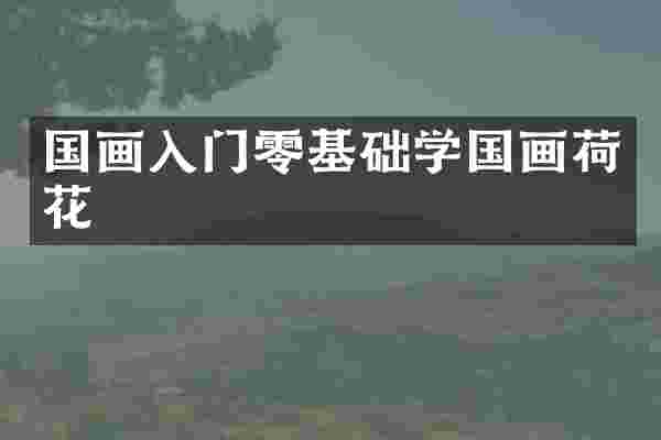 国画入门零基础学国画荷花