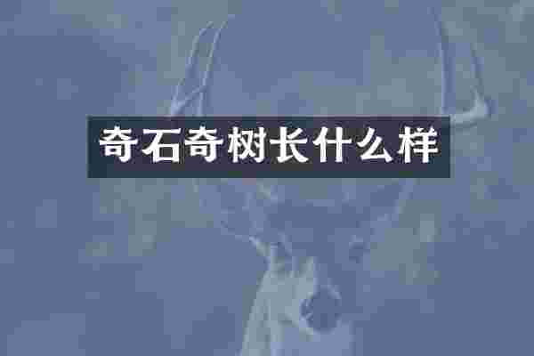奇石奇树长什么样