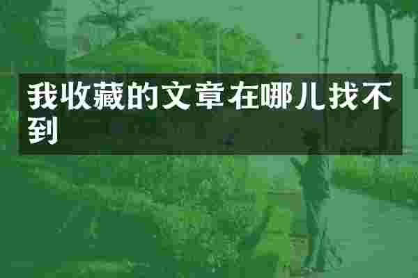 我收藏的文章在哪儿找不到