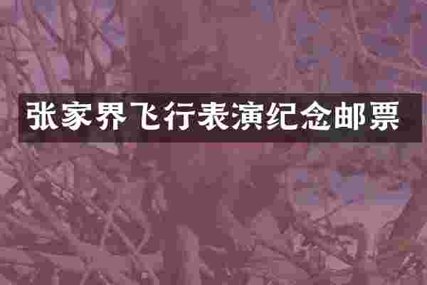 张家界飞行表演纪念邮票