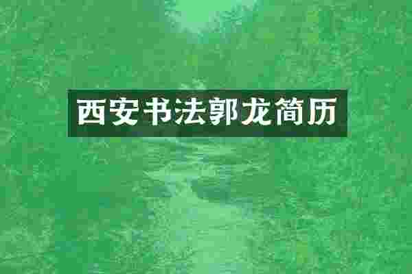 西安书法郭龙简历