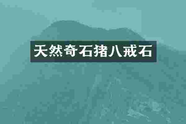 天然奇石猪八戒石