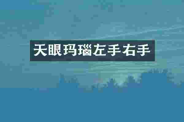 天眼玛瑙左手右手