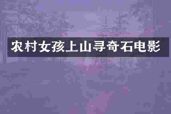 农孩上山寻奇石电影