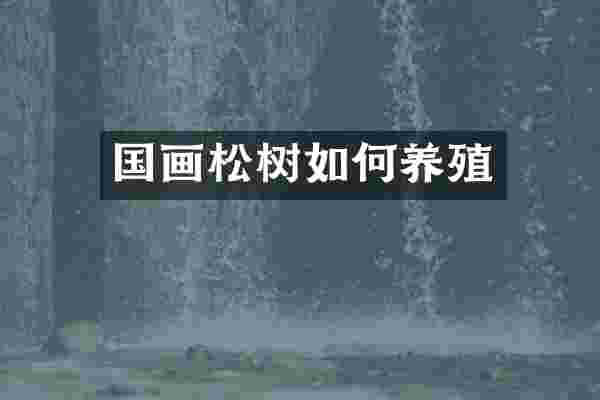 国画松树如何养殖