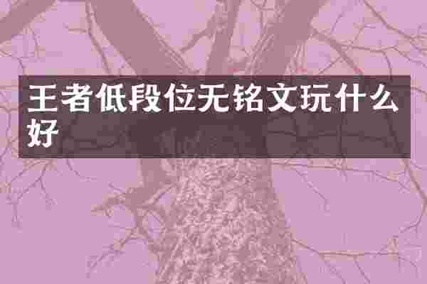 王者低段位无铭文玩什么好