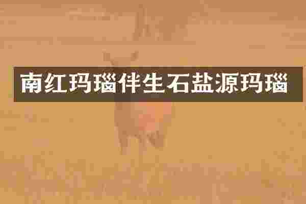 南红玛瑙伴生石盐源玛瑙