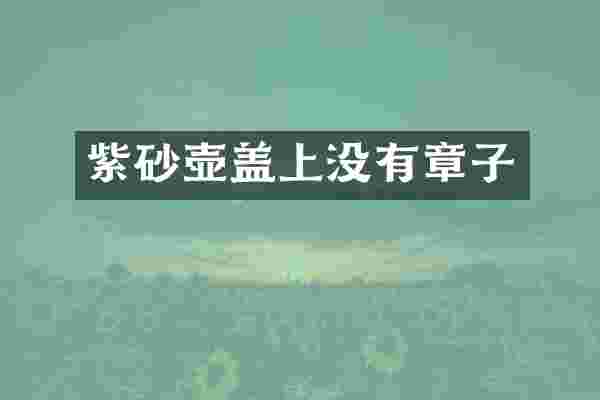 紫砂壶盖上没有章子