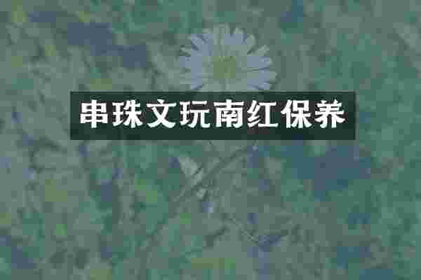 串珠文玩南红保养