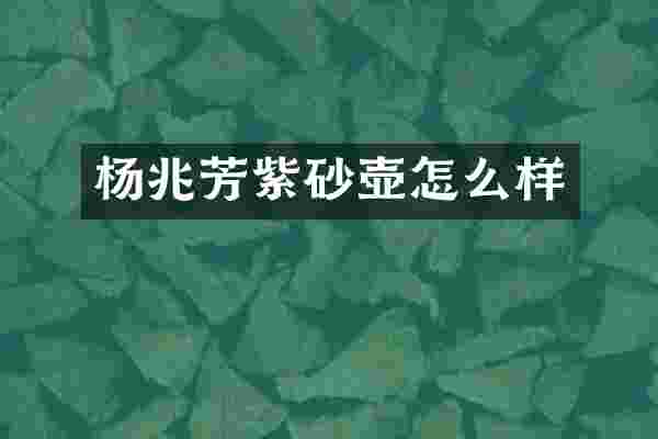 杨兆芳紫砂壶怎么样