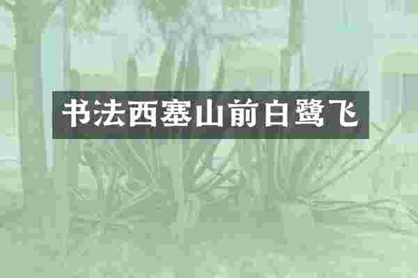 书法西塞山前白鹭飞