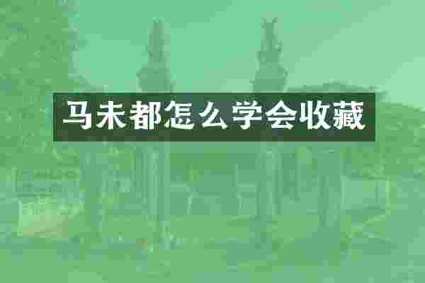 马未都怎么学会收藏