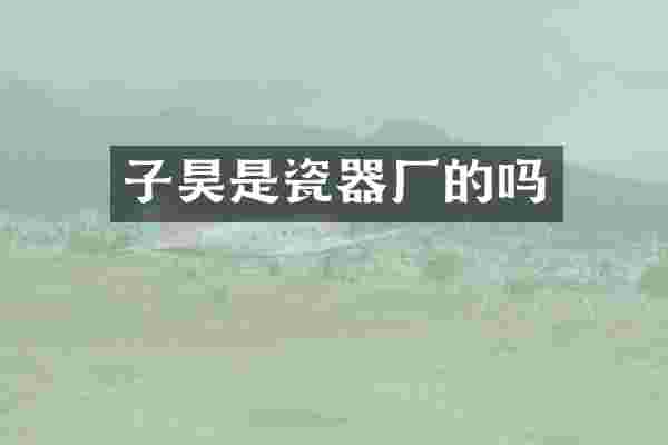 子昊是瓷器厂的吗