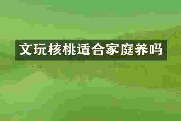 文玩核桃适合家庭养吗