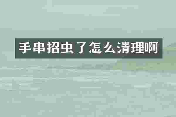 手串招虫了怎么清理啊