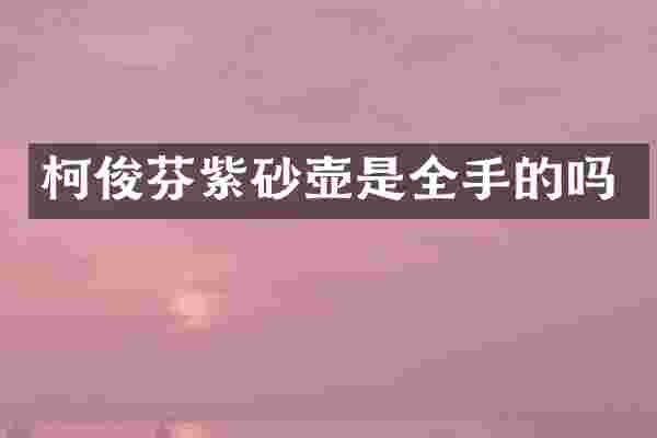 柯俊芬紫砂壶是全手的吗