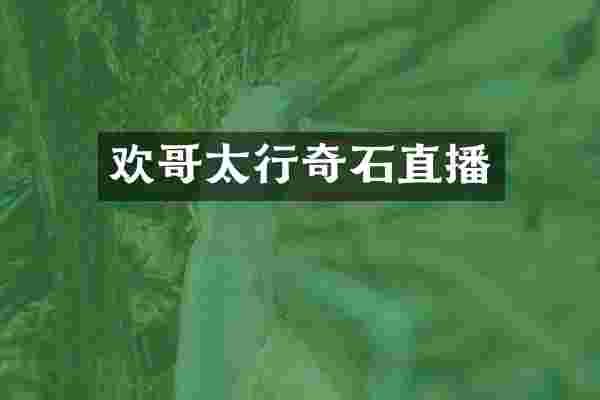 欢哥太行奇石直播