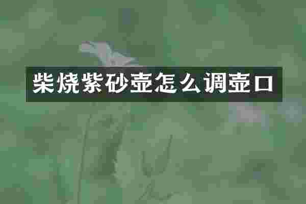 柴烧紫砂壶怎么调壶口