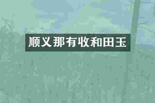 顺义那有收和田玉