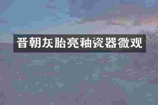 晋朝灰胎亮釉瓷器微观