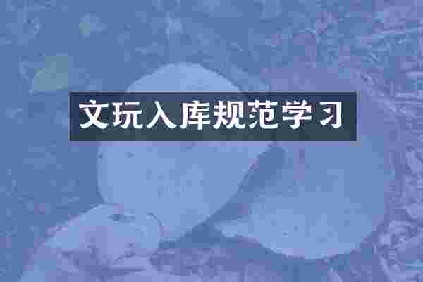 文玩入库规范学习