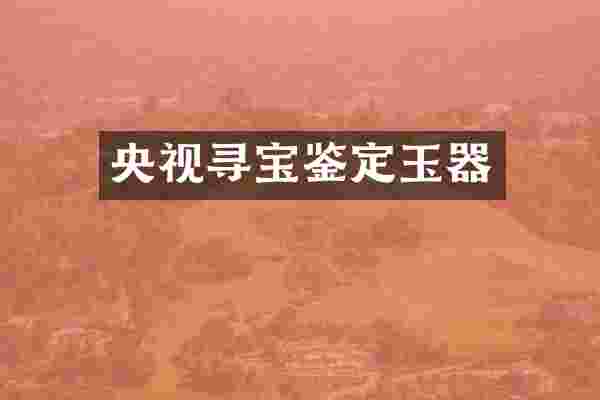 央视寻宝鉴定玉器